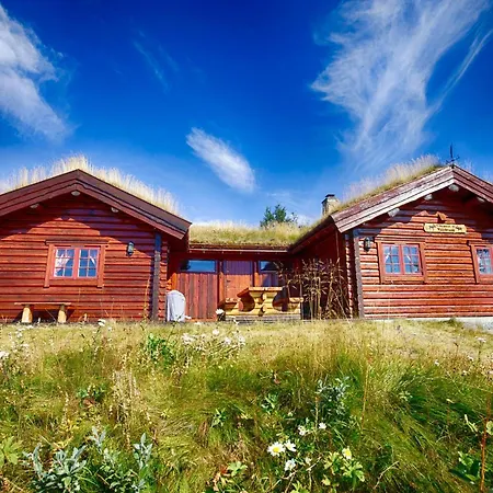 Perfectly Located Timber For 6-8 Guests Beitostolen