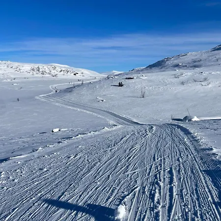 Perfectly Located Timber For 6-8 Guests * Beitostolen