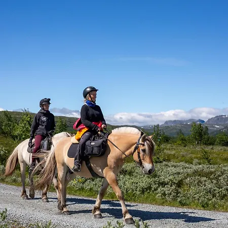 Perfectly Located Timber For 6-8 Guests Сasa de vacaciones Beitostolen