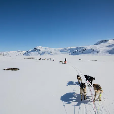 Perfectly Located Timber For 6-8 Guests * Beitostolen