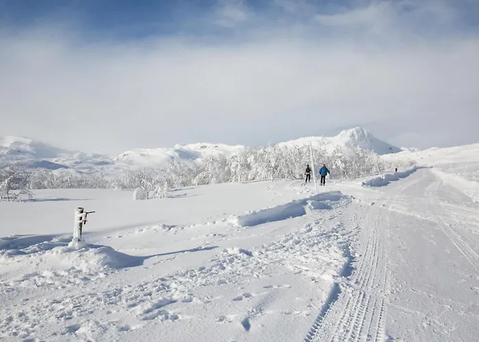 Perfectly Located Timber For 6-8 Guests Beitostolen