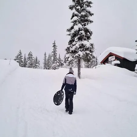 Perfectly Located Timber For 6-8 Guests Nyaraló Beitostolen