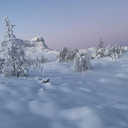 Perfectly Located Timber For 6-8 Guests * Beitostolen