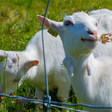 Perfectly Located Timber For 6-8 Guests * Beitostolen