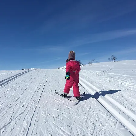 Perfectly Located Timber For 6-8 Guests Beitostolen