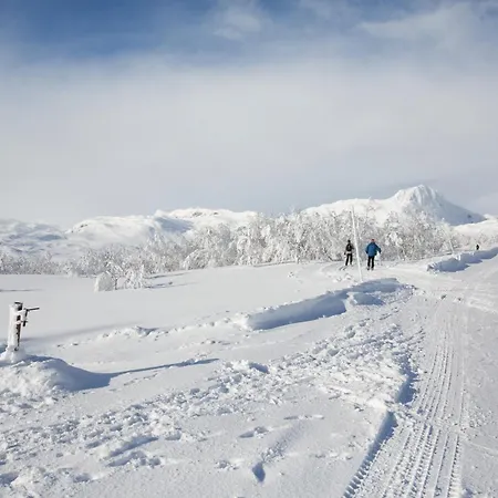 Perfectly Located Timber For 6-8 Guests Beitostolen